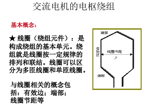 电机学电机绕组