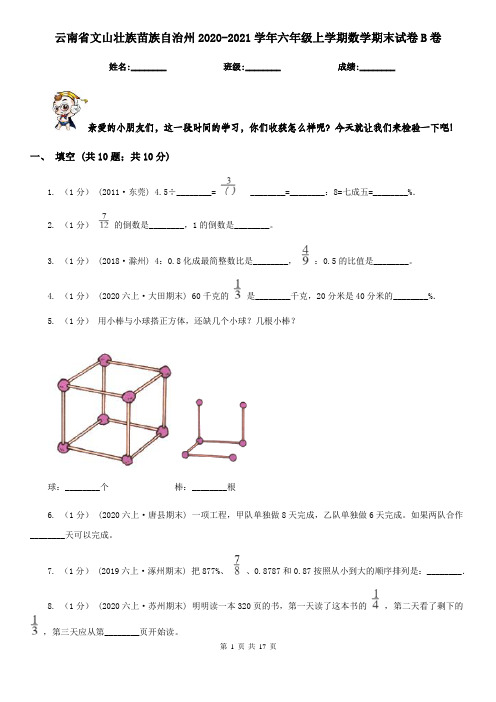 云南省文山壮族苗族自治州2020-2021学年六年级上学期数学期末试卷B卷