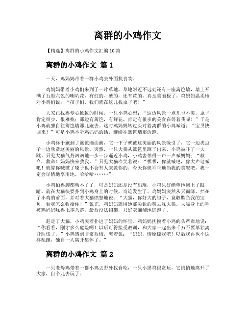 离群的小鸡作文