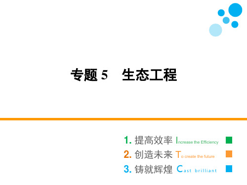 人教版选修三 专题5 5.1 生态工程的基本原理 课件(42张)