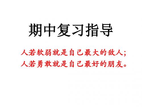 期中总复习