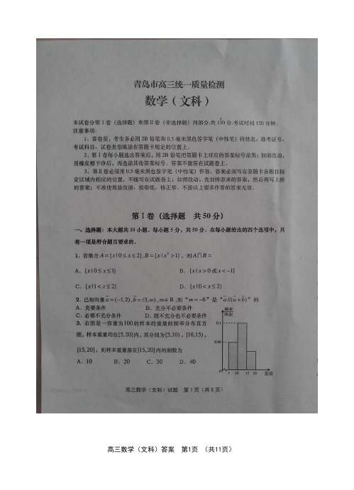 2014届青岛市高三统一质量检测数学试题(文)及答案