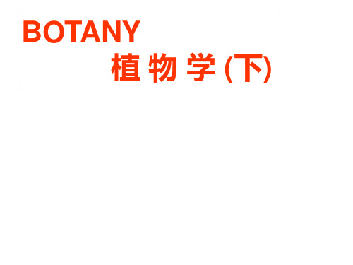 9浙江大学植物学 系统分类1