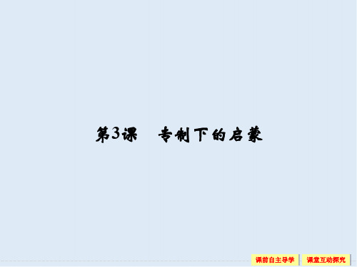 2019-2020学年高中历史人民版必修3课件：专题六 西方人文精神的起源与发展 6-3 