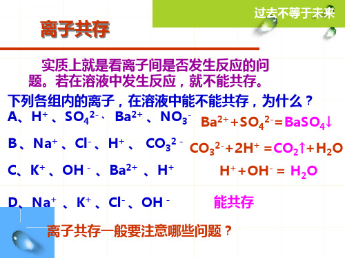 初中化学离子共存问题ppt课件