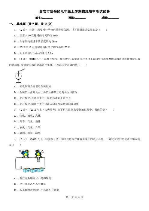 泰安市岱岳区九年级上学期物理期中考试试卷