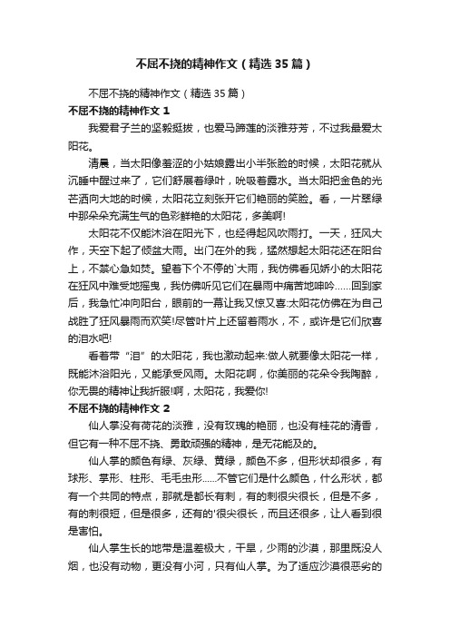 不屈不挠的精神作文（精选35篇）