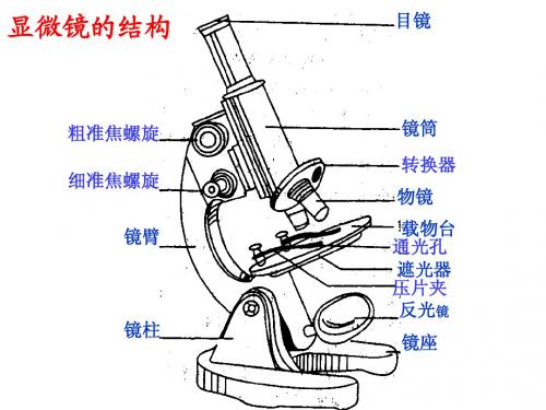 第一章开启生物科学之门--复习课件