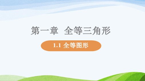 苏教版八年级上册数学全册教学课件(2021年10月修订)