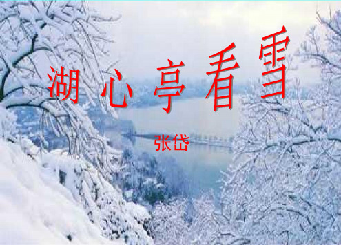 《湖心亭看雪》中考复习ppt课件