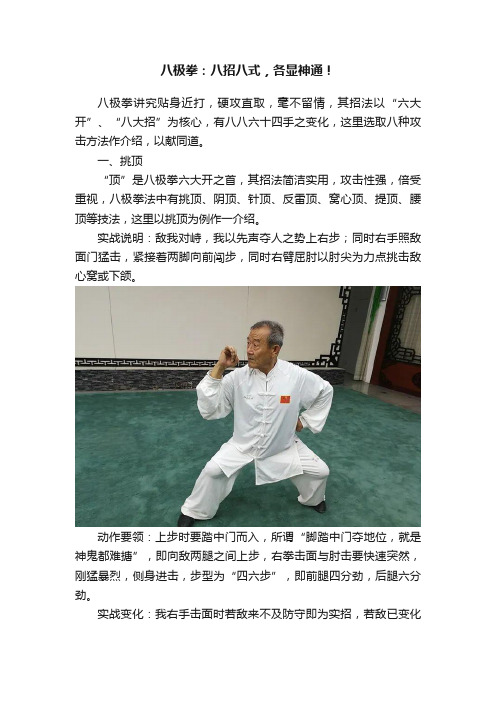 八极拳：八招八式，各显神通！