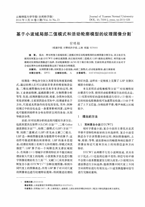 基于小波域局部二值模式和活动轮廓模型的纹理图像分割