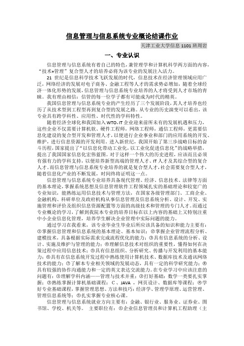 信息管理与信息系统专业概论结课作业