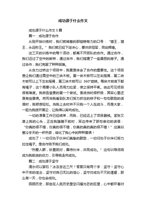 成功源于什么作文5篇