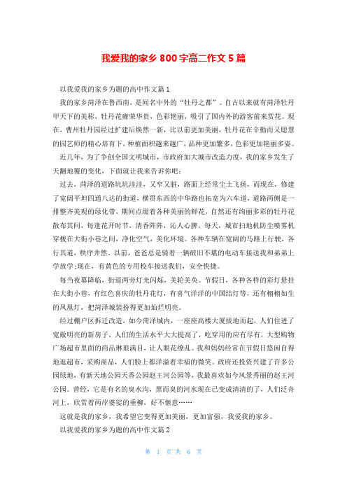 我爱我的家乡800字高二作文5篇