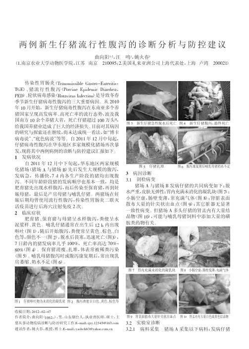 两例新生仔猪流行性腹泻的诊断分析与防控建议_曲向阳