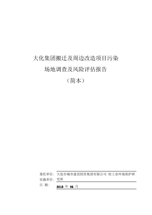 大化集团搬迁及周边改造项目污染场地调查及风险报告