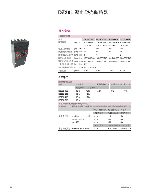 DZ20L 漏电塑壳断路器