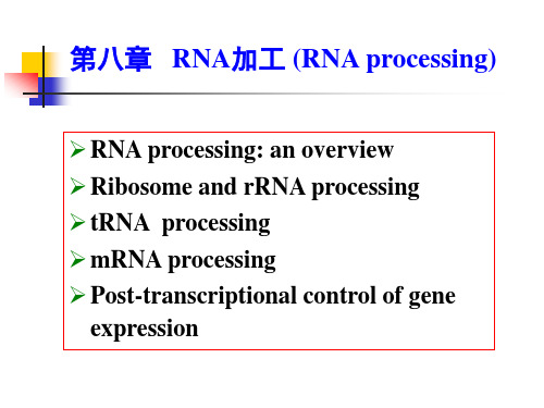 第八章 RNA加工(RNA processing)