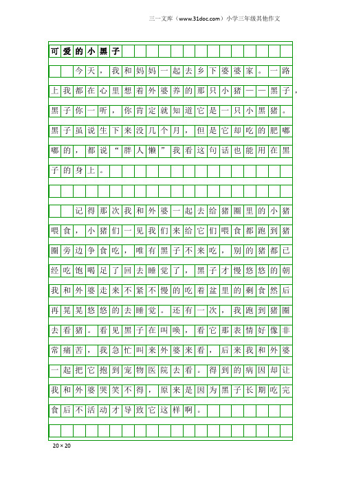 小学三年级其他作文：可爱的小黑子