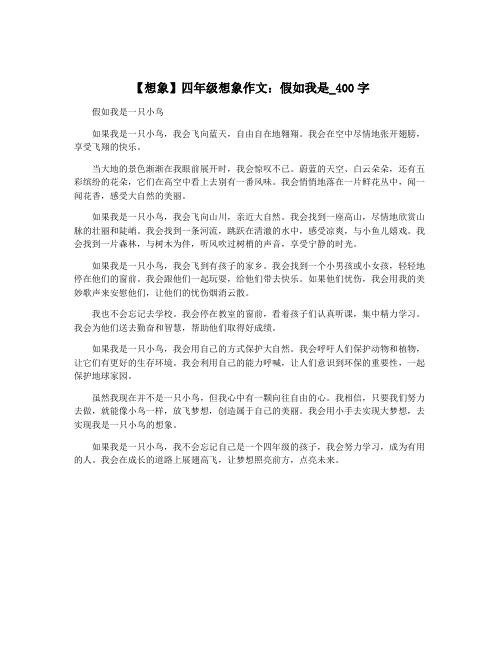 【想象】四年级想象作文：假如我是_400字