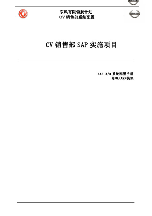 001东风汽车SAP实施项目_系统配置_DFL_Config_RD_AM