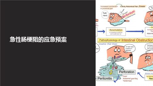 急性肠梗阻的应急预案