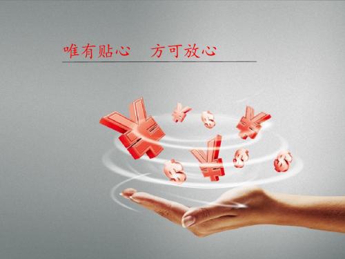 银行优质客户增值服务方案 12页PPT文档