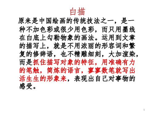 白描与渲染PPT课件