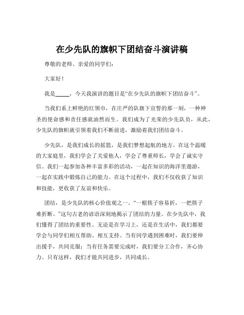 在少先队的旗帜下团结奋斗演讲稿