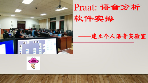 Praat ：语音分析软件实操