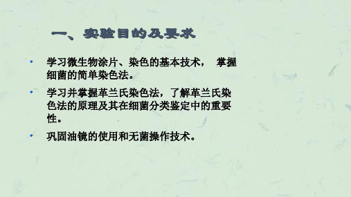 实验三细菌的简单染色和革兰氏染色课件