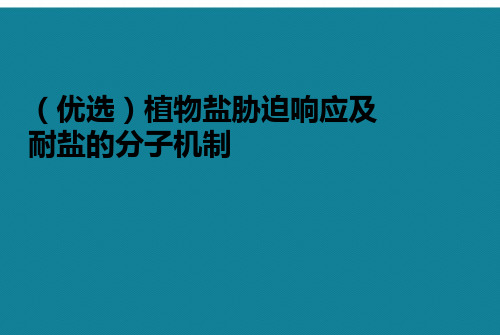 (优选)植物盐胁迫响应及耐盐的分子机制