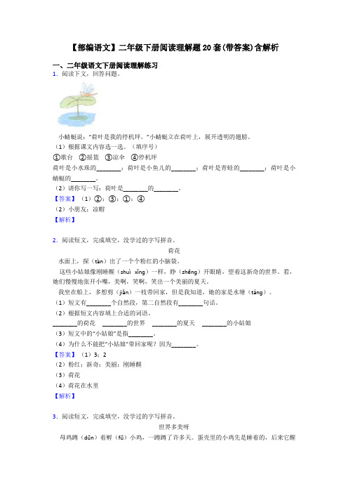 二年级【部编语文】二年级下册阅读理解题20套(带答案)含解析