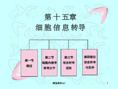 《细胞信息》PPT课件