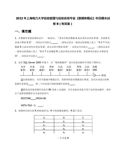 2022年上海电力大学信息管理与信息系统专业《数据库概论》科目期末试卷B(有答案)