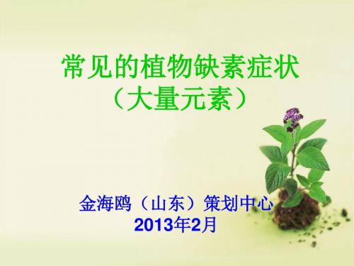 常见的植物缺素症状大量元素12种营养元素烟台众邦生物科技有限公司