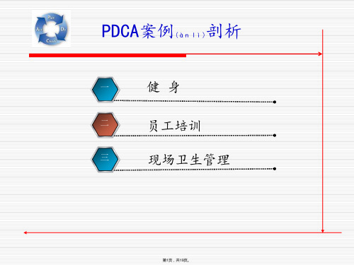 PDCA简单案例(共19张)