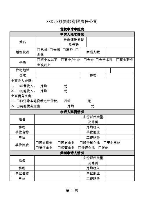 小额贷款公司申请审批表