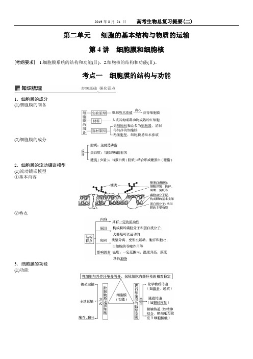 2019年高考生物复习提要(2)〈必修1第3～4章〉解析