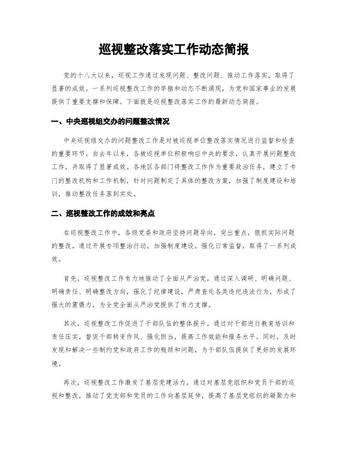 巡视整改落实工作动态简报