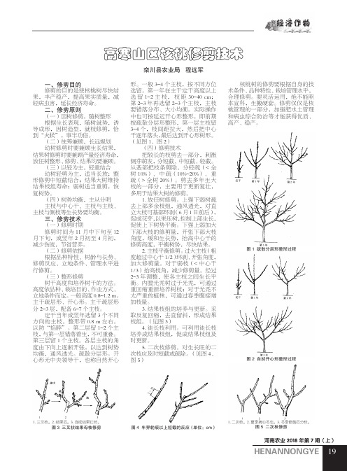 高寒山区核桃修剪技术