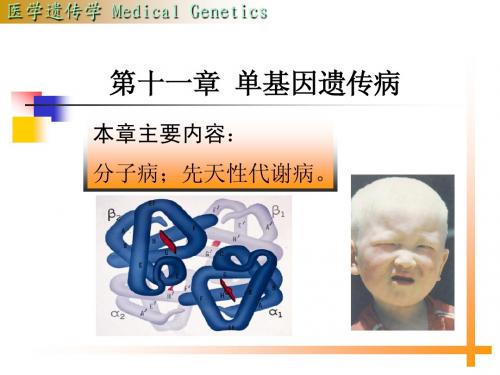 11单基因遗传病1