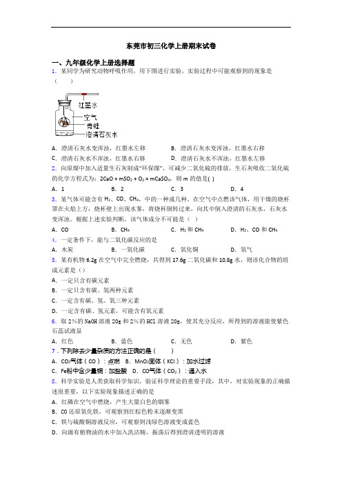 东莞市初三化学初三化学上册期末试卷