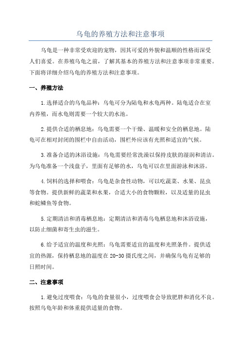 乌龟的养殖方法和注意事项