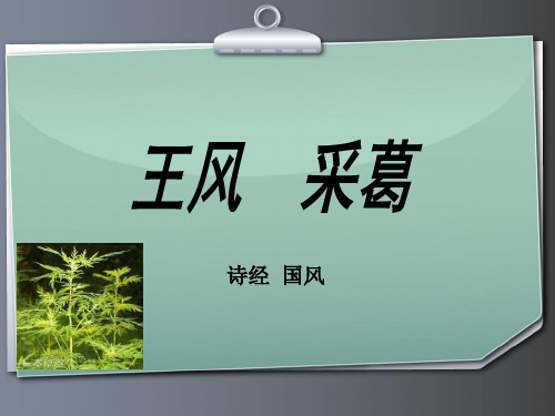 诗经国风王风采葛注释译文赏析