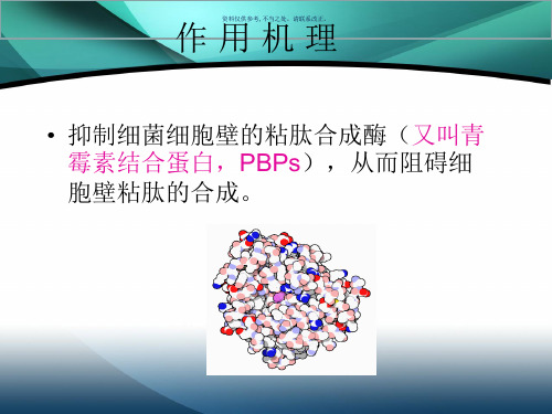 内酰胺类抗菌药物