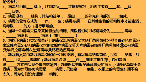 第二节细菌课件济南版生物七年级上册