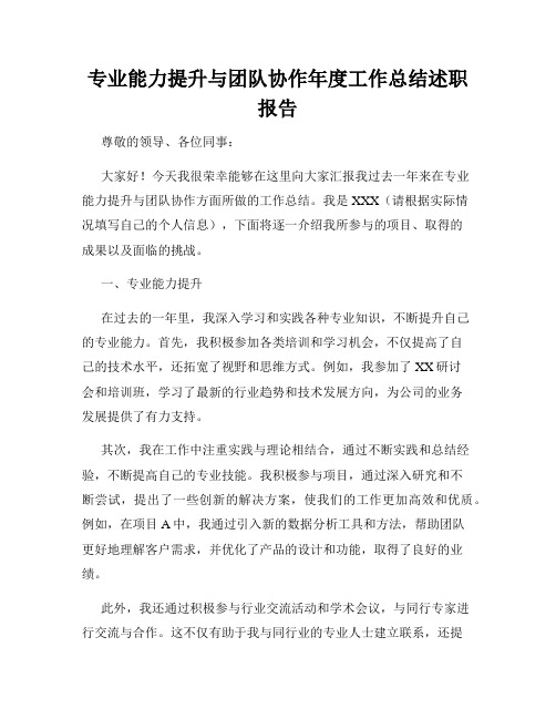 专业能力提升与团队协作年度工作总结述职报告