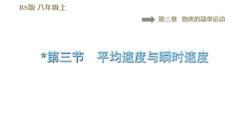 3.3平均速度与瞬时速度—2020年秋季八年级物理上册北师大版练习题课件(共30张PPT)